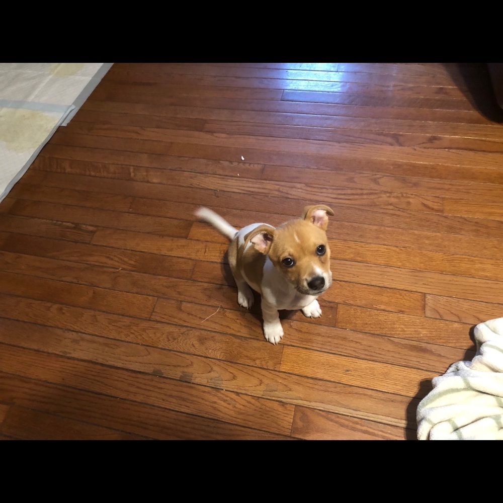 Meet your Posher, Linda